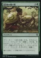 240/361[C]：造命師の贈り物/Lifecrafter’s Gift