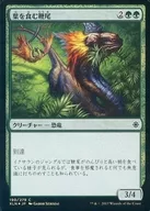 [C]：【FOIL】葉を食む鞭尾/Grazing Whiptail