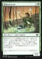 181/254[C]：【MH1】【FOIL】春花のドルイド/Springbloom Druid