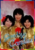 <<パンフレット(ライブ)>> パンフ)Goodbye Candies