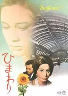 <<パンフレット(洋画)>> パンフ)ひまわり(1982年)