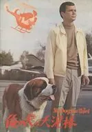 <<パンフレット(洋画)>> パンフ)俺の犬は大泥棒
